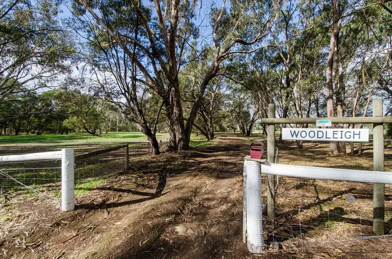 Main view of Homely rural property listing, 33 Riddoch Highway, Tarpeena SA 5277