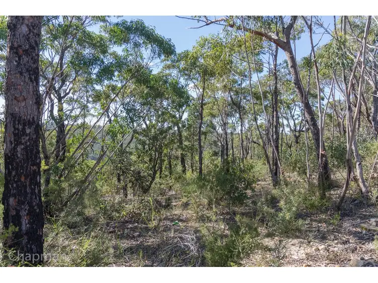 Fourth view of Homely land listing, Lot 11 Badham Street, Faulconbridge NSW 2776