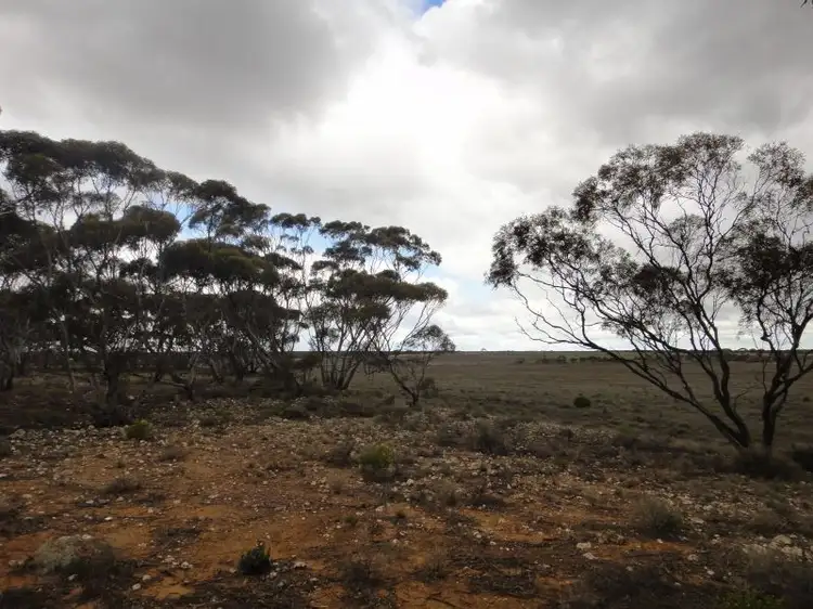 Third view of Homely rural property listing, Section 178 Halfway House Road, Sedan SA 5353