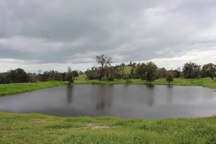 Third view of Homely rural property listing, 780 Mount Tallabung Road, Forbes NSW 2871