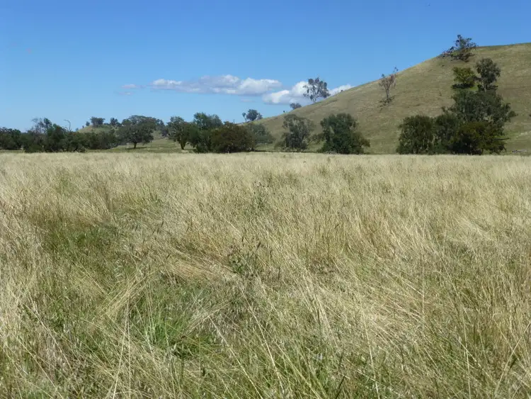 Fourth view of Homely rural property listing, - Bowan Park Road, Orange NSW 2800