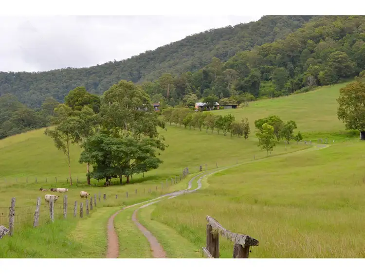 Main view of Homely rural property listing, 68 Misty Vale Way, Hollisdale NSW 2446