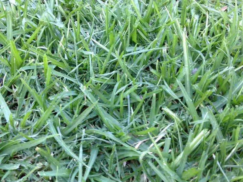 Main view of Homely land listing, LOT 642 Eros Crescent, Cranbourne West VIC 3977