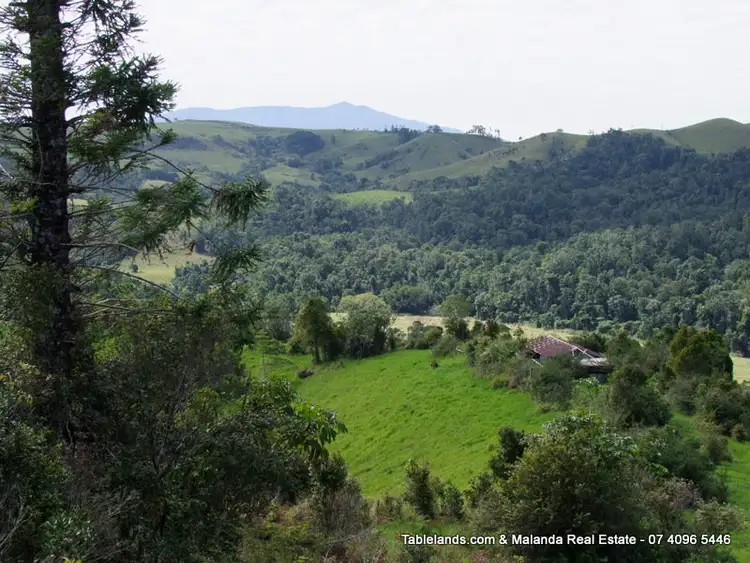 Main view of Homely rural property listing, LS876 Lot 436 Barter Road, Millaa Millaa QLD 4886