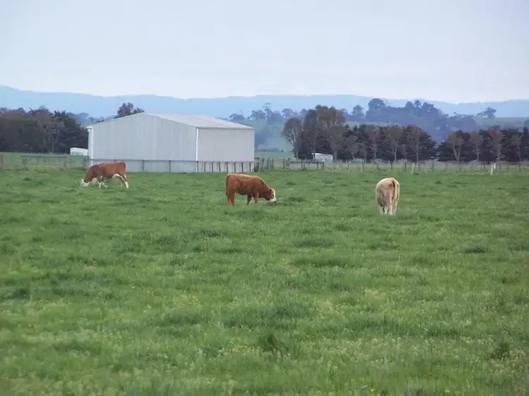 Second view of Homely rural property listing, Ramsay Road, Irrewarra VIC 3249