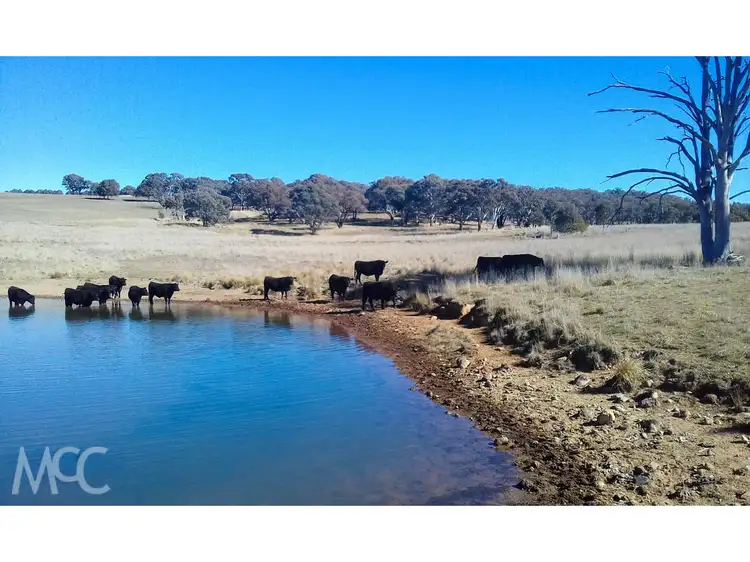Fourth view of Homely rural property listing, 'Ferndale' 93 Caves Creek Road, Orange NSW 2800