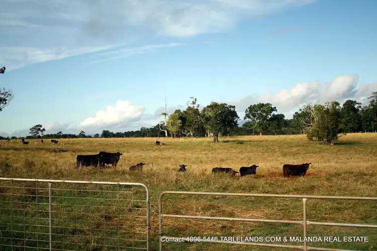 Fifth view of Homely rural property listing, Address available on request