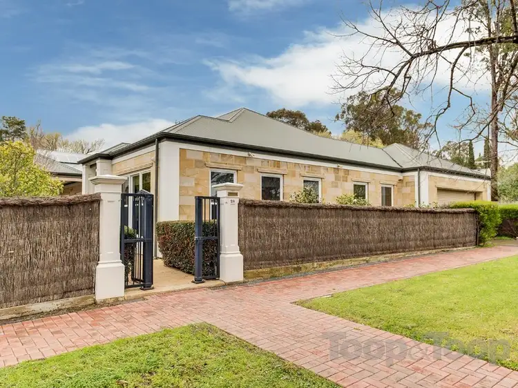 Main view of Homely house listing, 28 Taylor Terrace, Rosslyn Park SA 5072