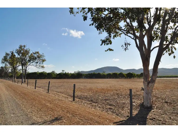 Seventh view of Homely rural property listing, 2855 Mareeba - Dimbulah Road, Mutchilba QLD 4872