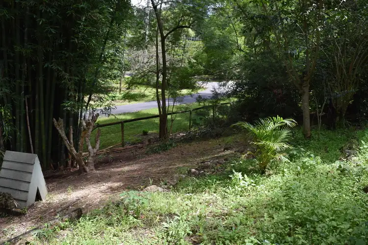 29 FORSYTHIA Drive, Tamborine Mountain QLD 4272