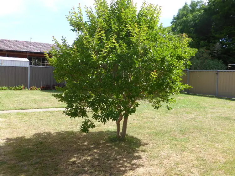 Second view of Homely house listing, 146 Matthews Ave, Orange NSW 2800
