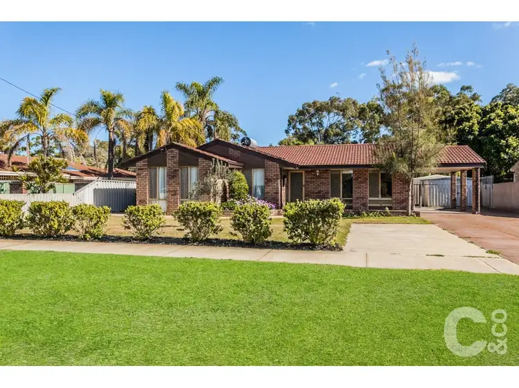 Second view of Homely house listing, 20 Lynda Crescent, Cooloongup WA 6168