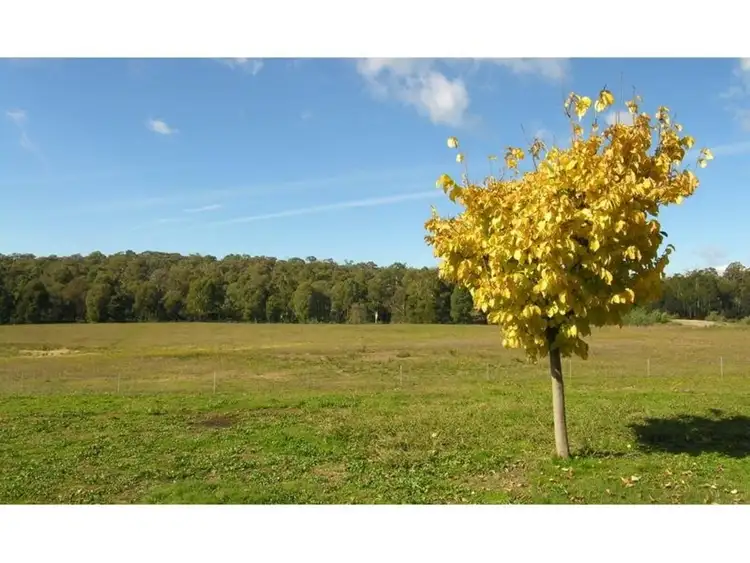 Sixth view of Homely rural property listing, 4540 Mansfield Whitfield Road, Tolmie VIC 3723