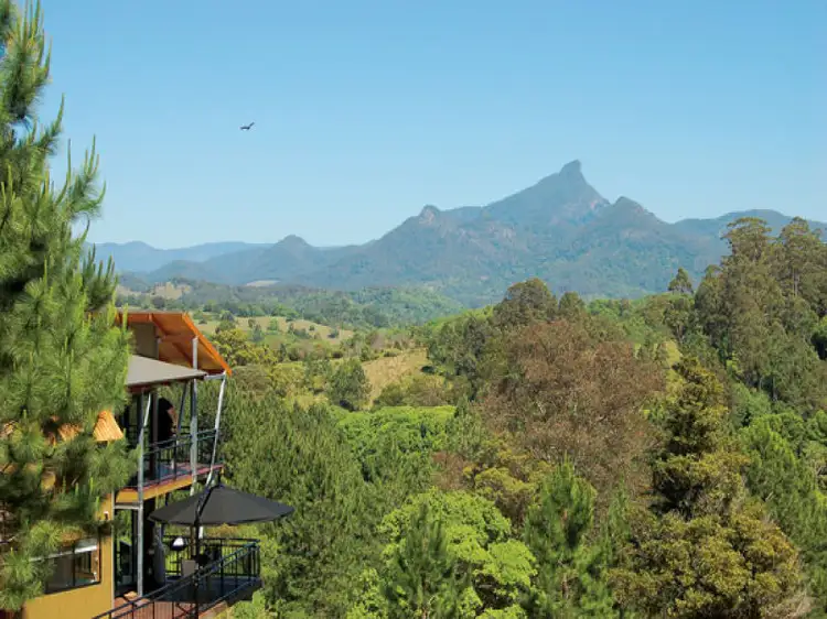 Third view of Homely other listing, 55 Tatyewan Avenue, Smiths Creek NSW 2484