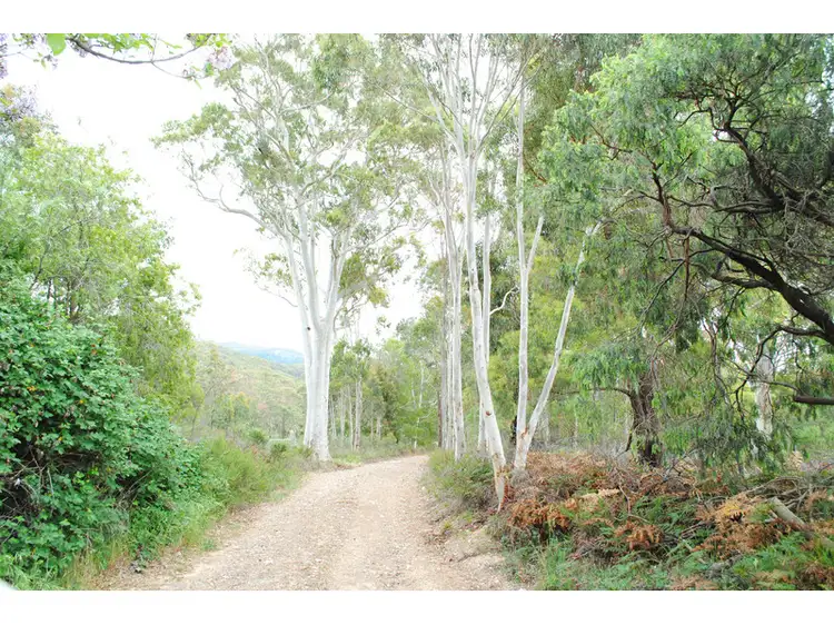Fifth view of Homely rural property listing, 1148 Long Point Road, Orange NSW 2800