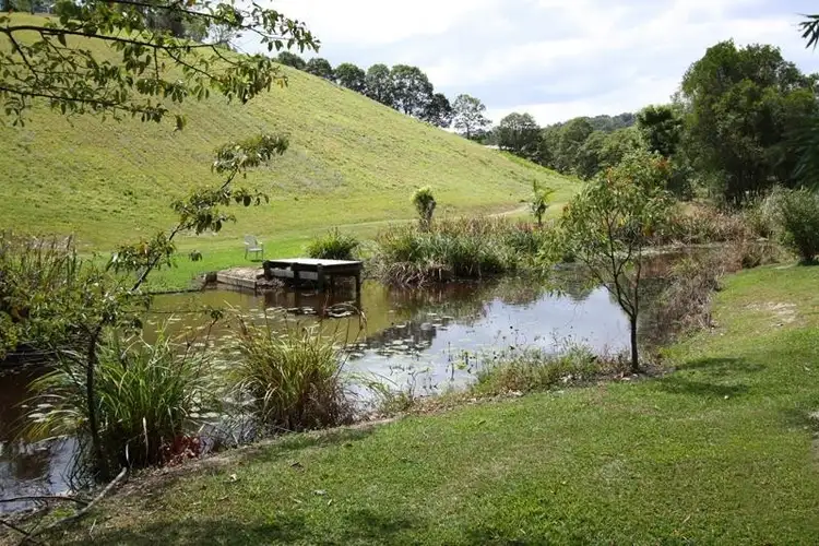 Third view of Homely rural property listing, 220 Nobbys Creek Road, Nobbys Creek NSW 2484