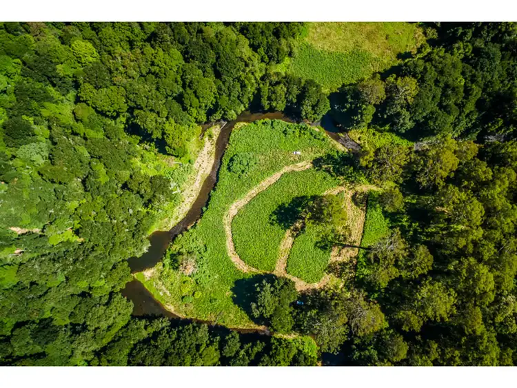 Seventh view of Homely rural property listing, 413 Johnsens Road, Dorrigo NSW 2453