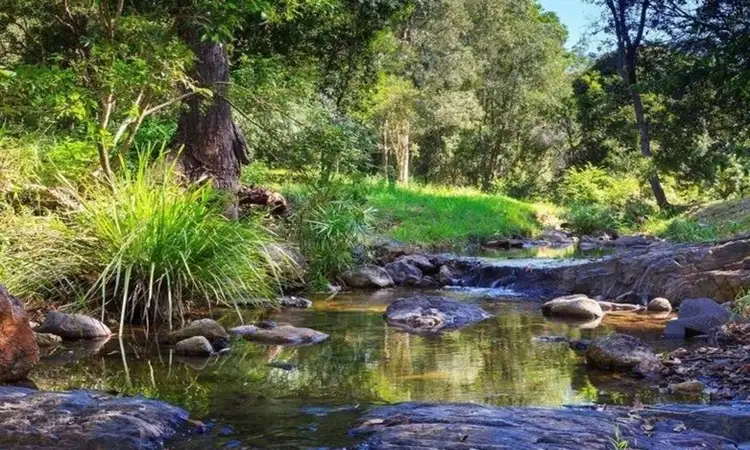 Fifth view of Homely house listing, 146 Pacey Road, Upper Brookfield QLD 4069