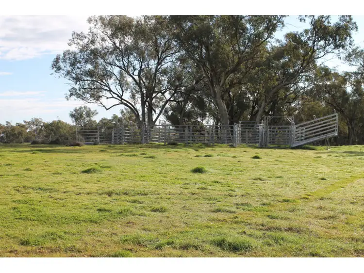Second view of Homely rural property listing, 'Amaroo' 324 Dripstone Road, Neurea NSW 2820