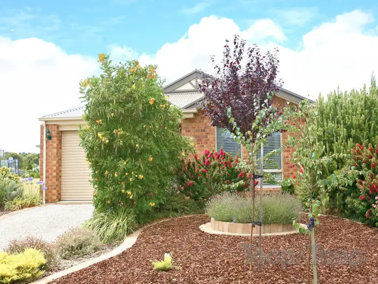 Third view of Homely house listing, 4 Isabella Court, McCracken SA 5211