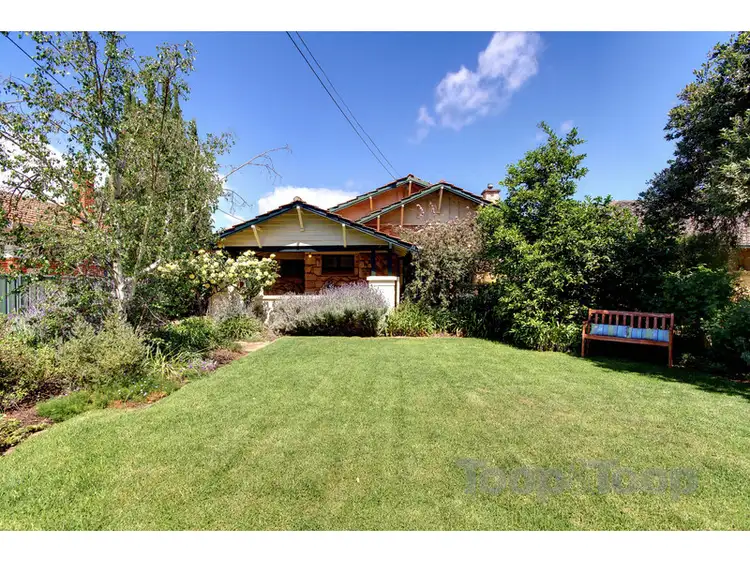 17 Cranbrook Avenue, Millswood SA 5034