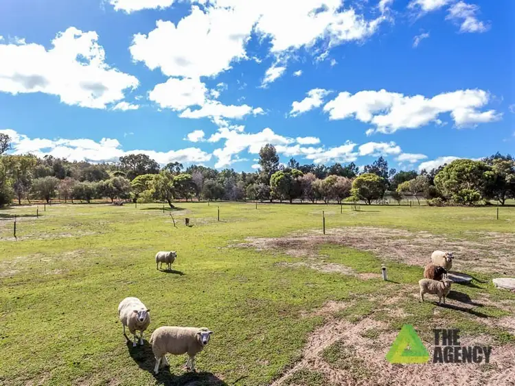 Fourth view of Homely house listing, 16 Patens Drive, Lower Chittering WA 6084