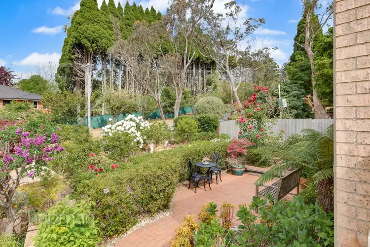 Fifth view of Homely house listing, 37 Cedar Street, Katoomba NSW 2780