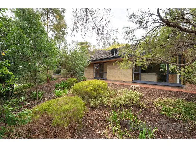 31 Thirkell Avenue, Beaumont SA 5066