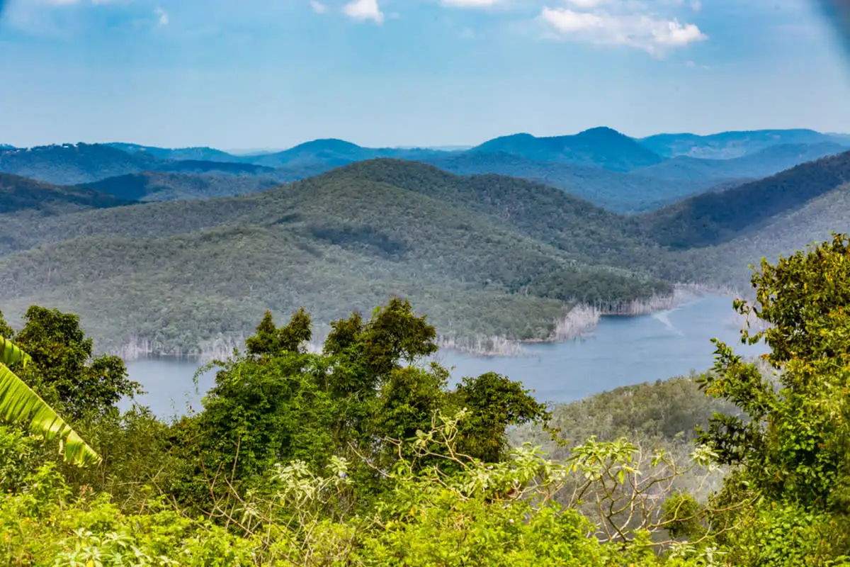 Main view of Homely house listing, 54 Mirani Street, Lower Beechmont QLD 4211