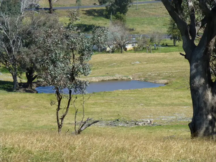Second view of Homely rural property listing, 6026 Burrendong Way, Stuart Town NSW 2820