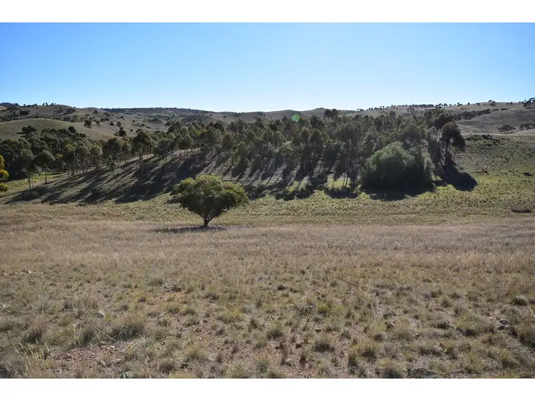 Second view of Homely rural property listing, LOT 104 Mine Road, Palmer SA 5237