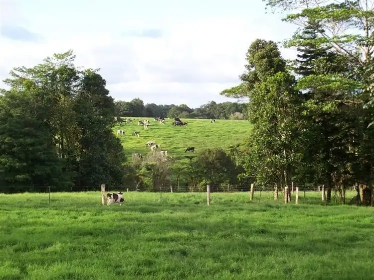 Second view of Homely rural property listing, F976 632-544 Maalan Road, Millaa Millaa QLD 4886