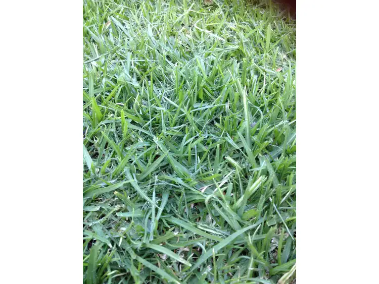 LOT 677 Asteria Crescent, Cranbourne West VIC 3977