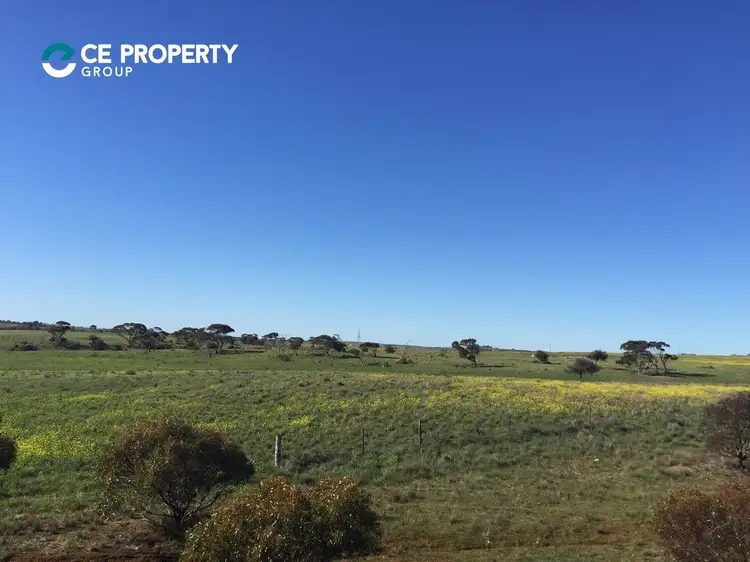 Main view of Homely rural property listing, 599, LOT 599 Caloote Road, Caloote SA 5254