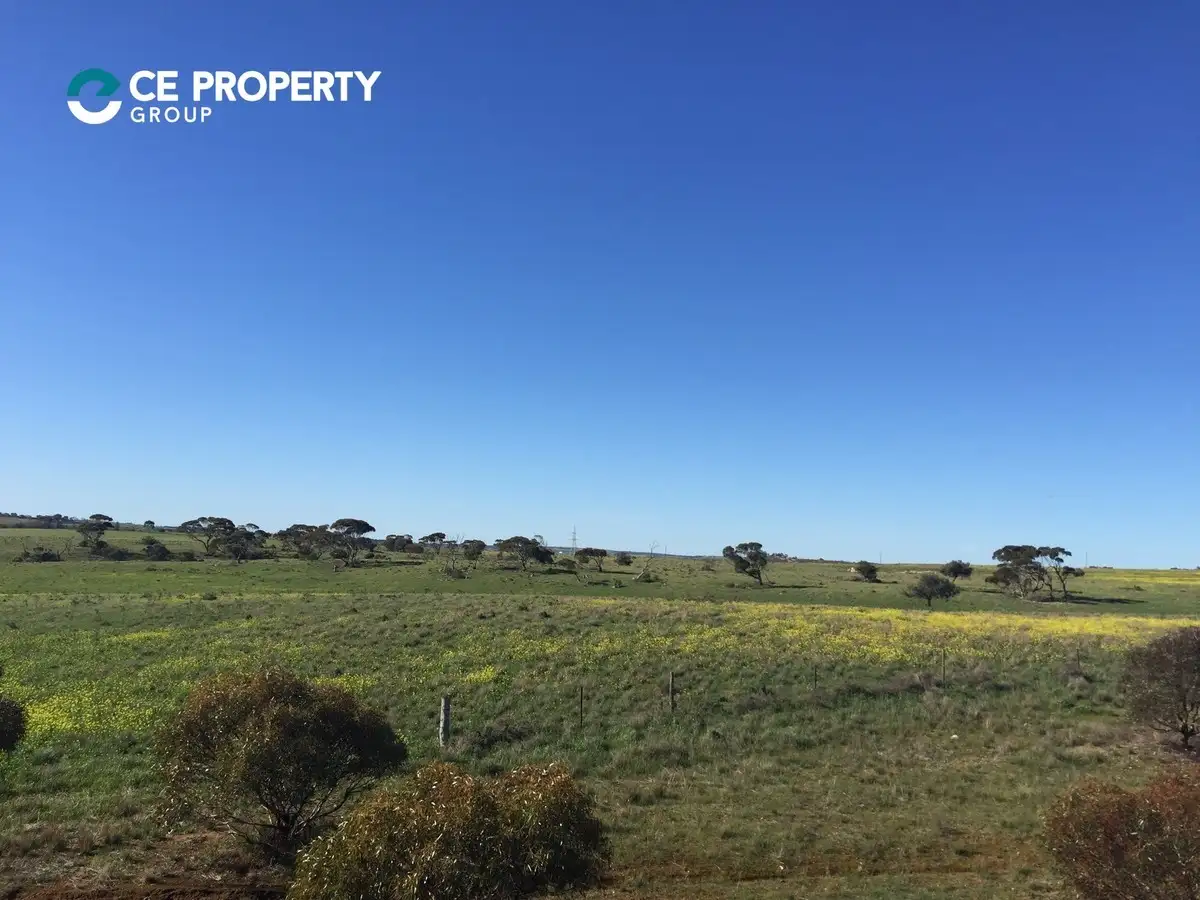 Main view of Homely rural property listing, 599, LOT 599 Caloote Road, Caloote SA 5254