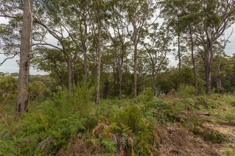 Third view of Homely land listing, 7 Dolphin Cove, Tura Beach NSW 2548