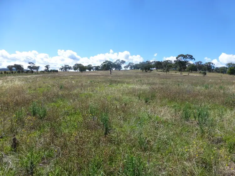 Sixth view of Homely rural property listing, - Bowan Park Road, Orange NSW 2800