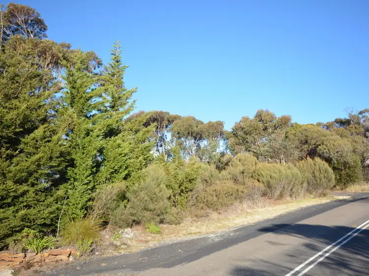 279B Cliff Drive, Katoomba NSW 2780