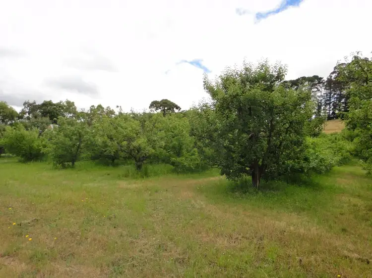 Third view of Homely rural property listing, 718 Swamp Road, Lenswood SA 5240