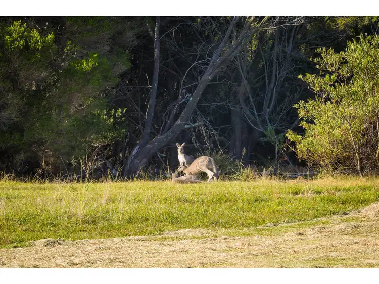 Third view of Homely land listing, 26 Bournda Circuit, Tura Beach NSW 2548