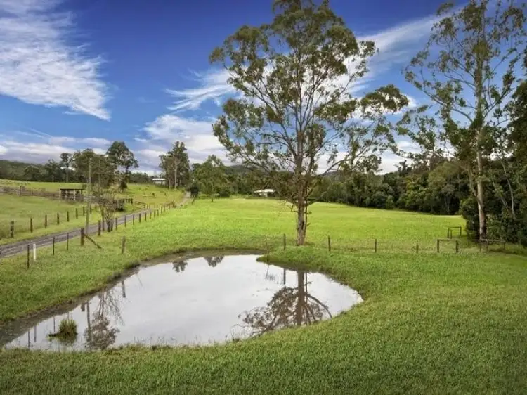 Second view of Homely rural property listing, 36 Phil Tunks Road, Dooralong NSW 2259