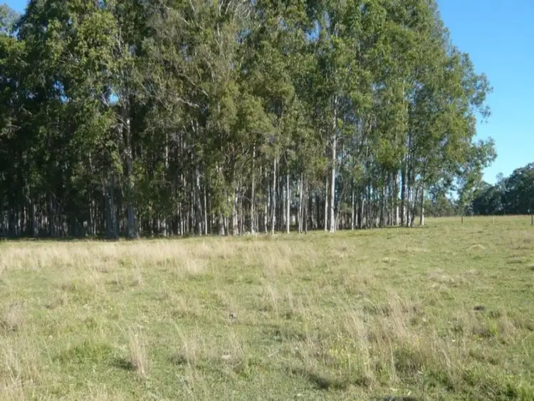 Second view of Homely rural property listing, 75 Ellangowan - Myrtle Creek Road, Casino NSW 2470