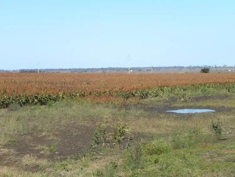 Sixth view of Homely rural property listing, Lot 4 Mitchell Road, Clifton QLD 4361