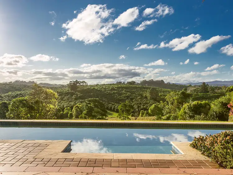 Second view of Homely house listing, 239 Rosebank Road, Rosebank NSW 2480
