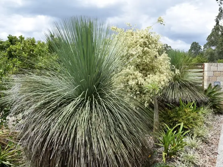 Third view of Homely house listing, 14 Forceful Crescent, Karalee QLD 4306