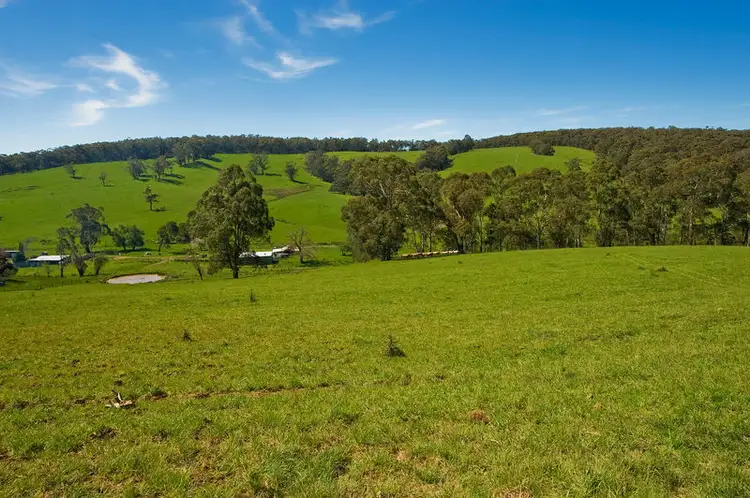 Sixth view of Homely rural property listing, 127 Cashins Rd, Kawarren VIC 3249