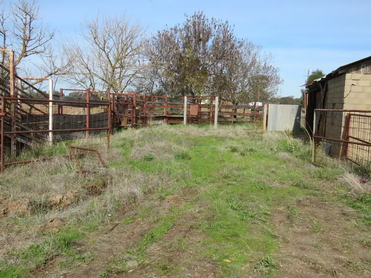 Sixth view of Homely rural property listing, 805 Archer Road, Kialla VIC 3631