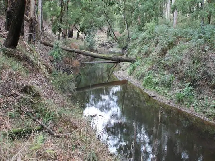 Third view of Homely rural property listing, 1695 Carlisle Road, Carlisle River VIC 3239