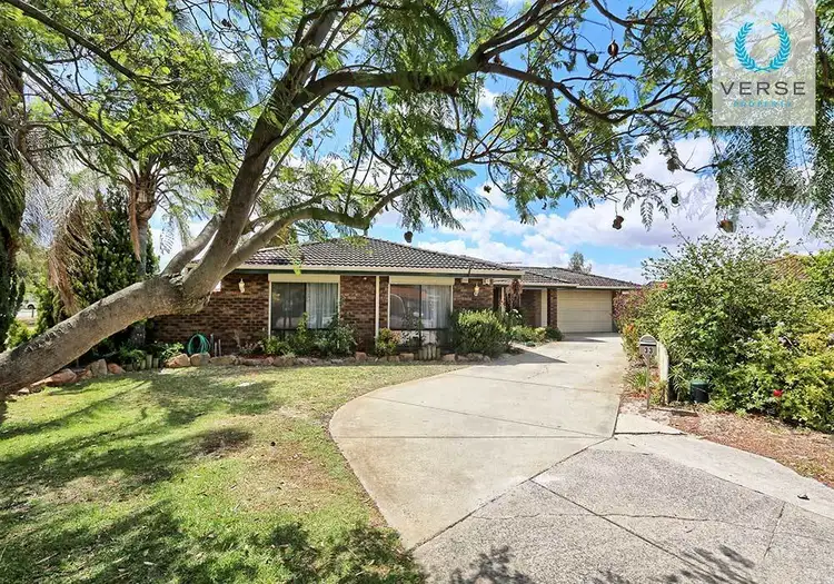 Main view of Homely house listing, 33 Jenever Place, Bentley WA 6102