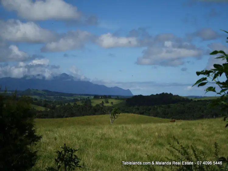 Third view of Homely rural property listing, RR409/1654 MILLAA MILLAA - MALANDA Road, Jaggan QLD 4885